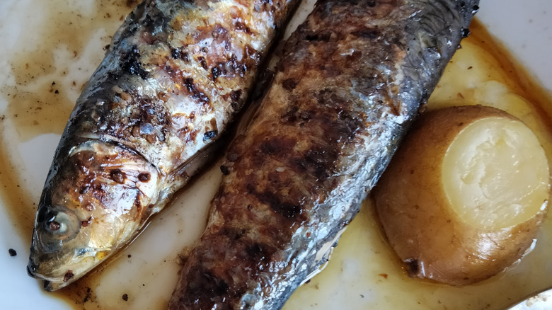 Galician potato and sardines