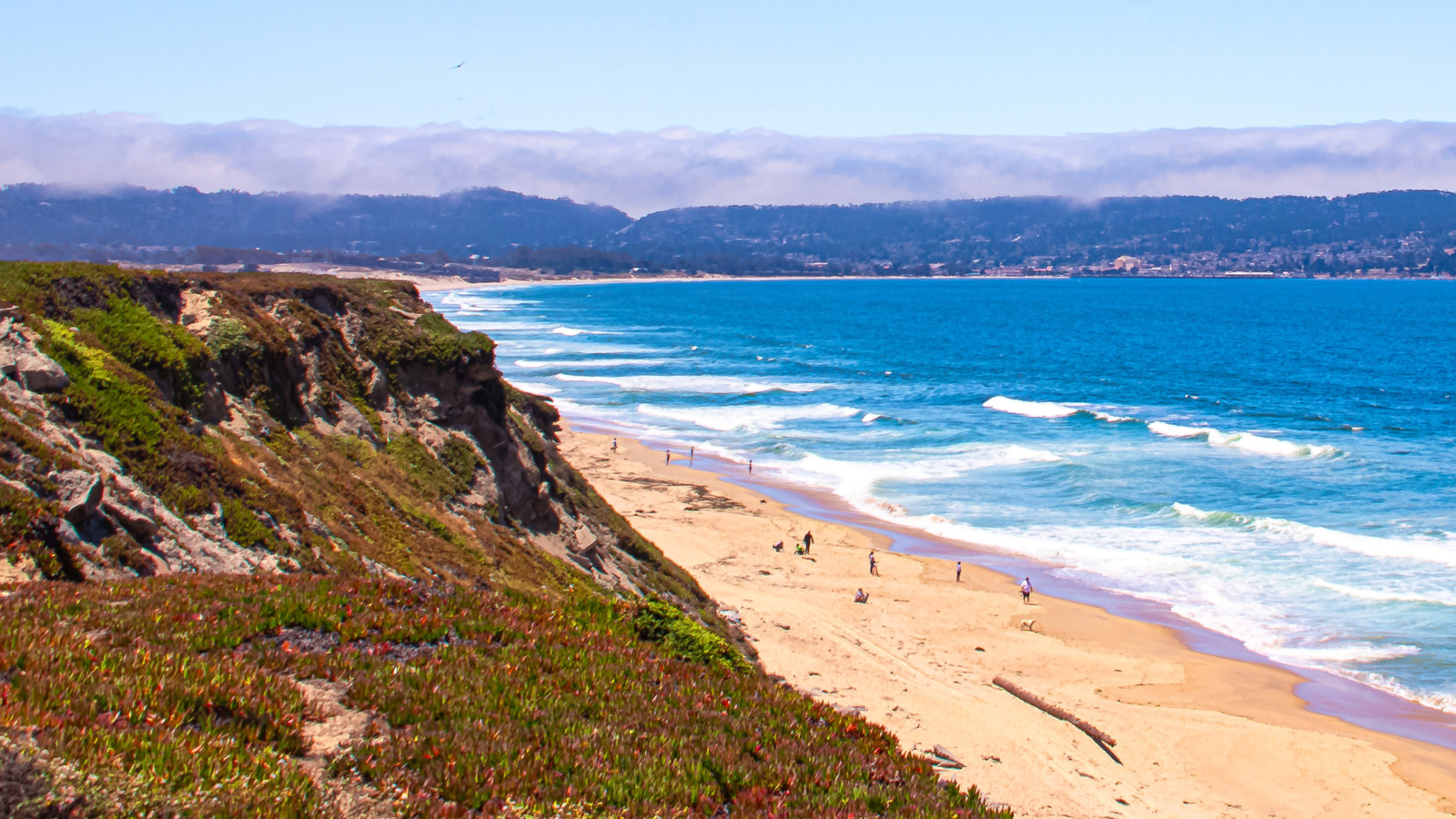 California's Best Butcher Shop Can Be Found In A Picturesque Coastal City South Of San Jose