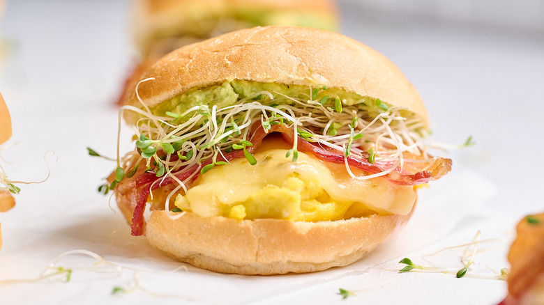 breakfast sandwich with bacon and avocado closeup