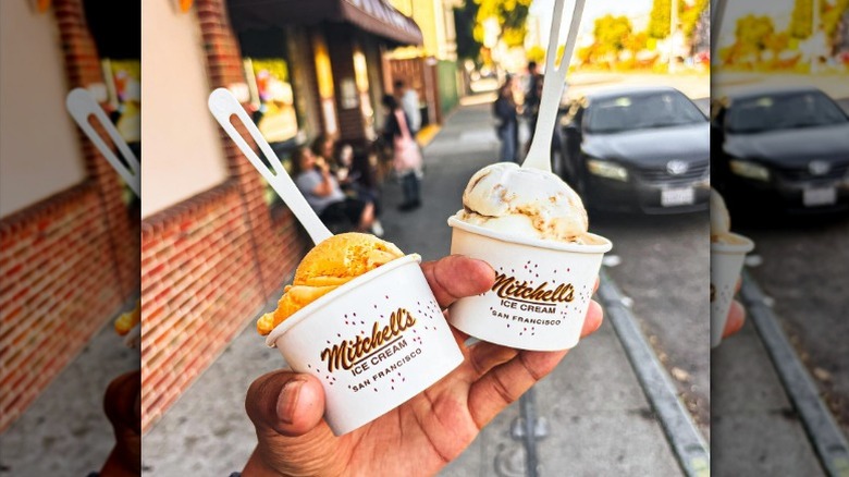 A hand holding two scoops of Mitchell's ice cream in paper cups.