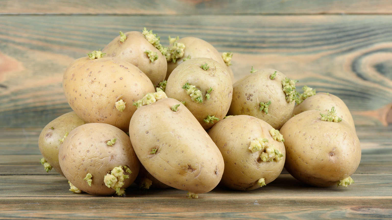 This Is What You Should Do With Potatoes That Have Sprouted - Tasting Table