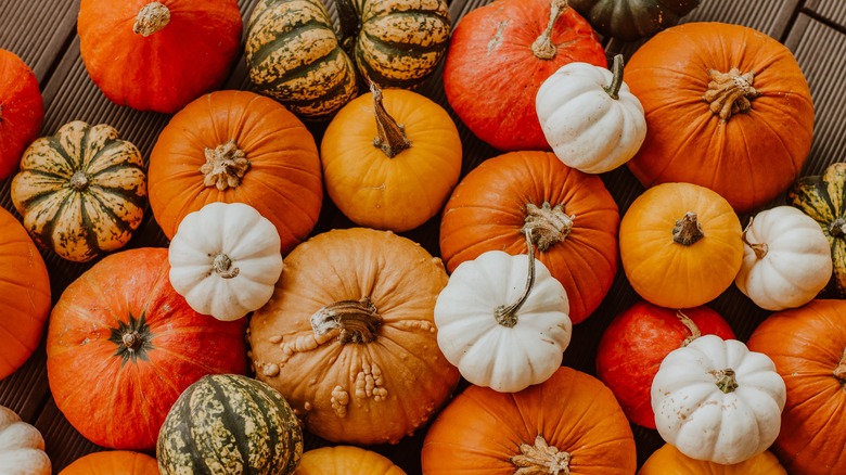 Different color pumpkins