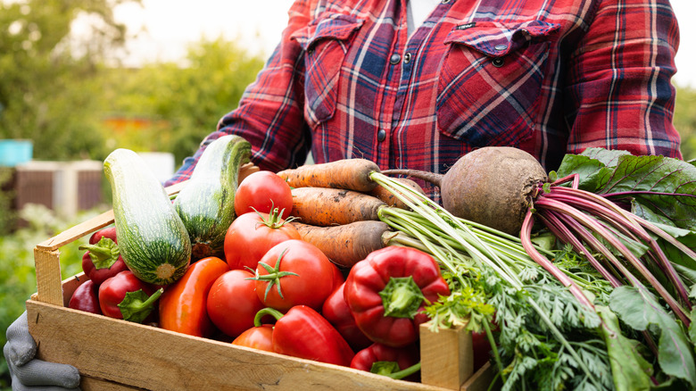 person carrying box of harvested vegetables outdoors