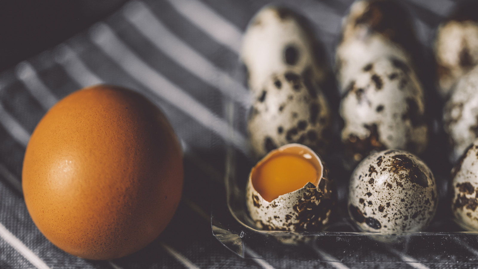 Can You Substitute Quail Eggs For Chicken Eggs? - Tasting Table