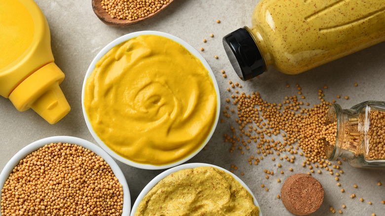 Yellow and spicy brown mustard bottles next to saucers with each mustard, with containers of mustard seeds and seeds