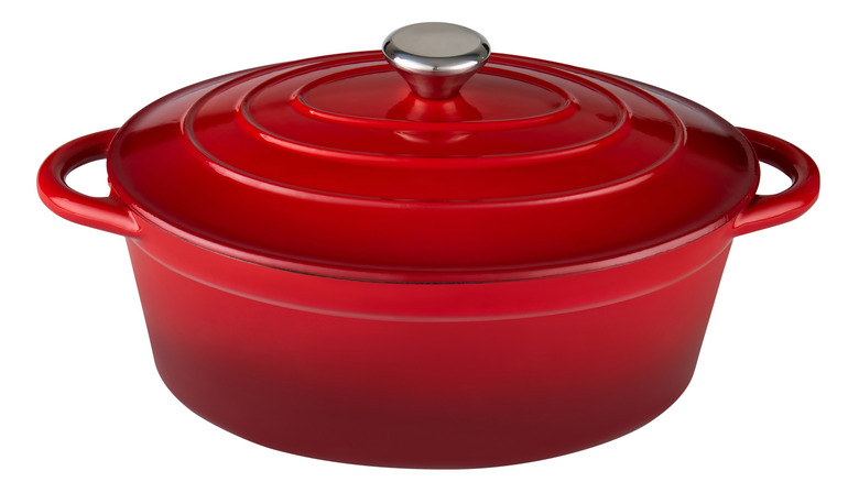 Enameled cast iron dutch oven