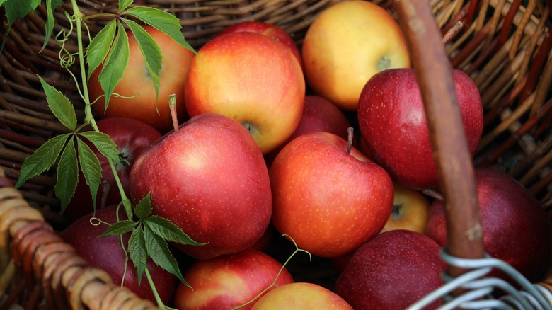 apples in basket