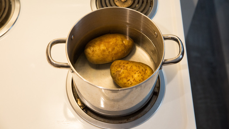 pot with two russet potatoes