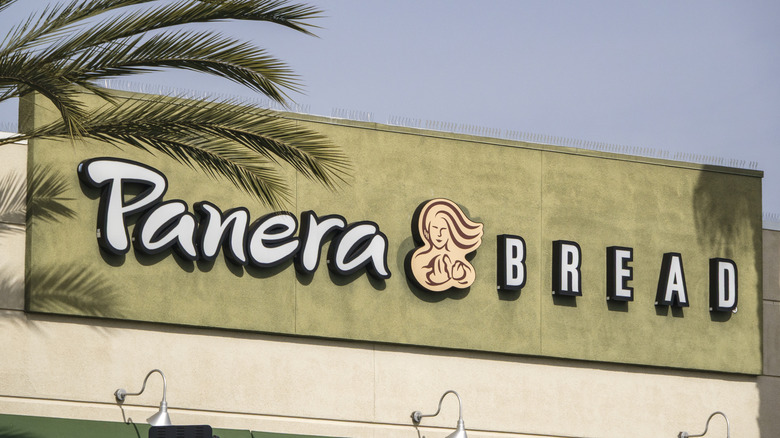 Panera sign on green building with palm tree