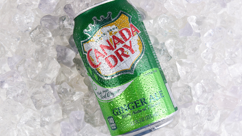 Canada dry can on ice