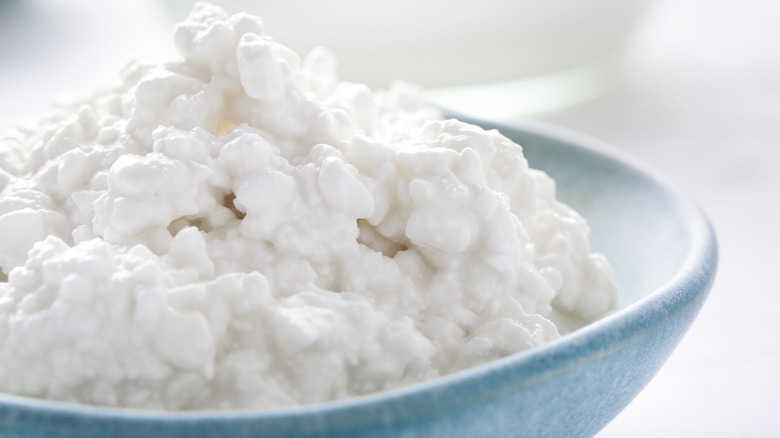 A close up of a bowl of cottage cheese