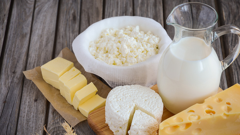 Cheese and milk containers and dairy products