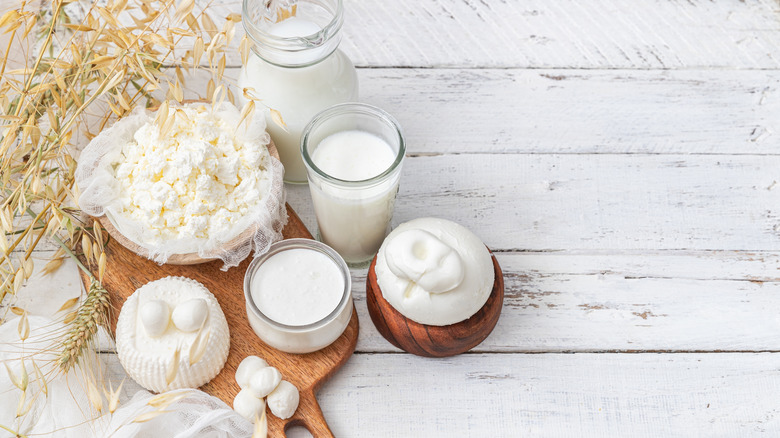 Milk different cheese white background