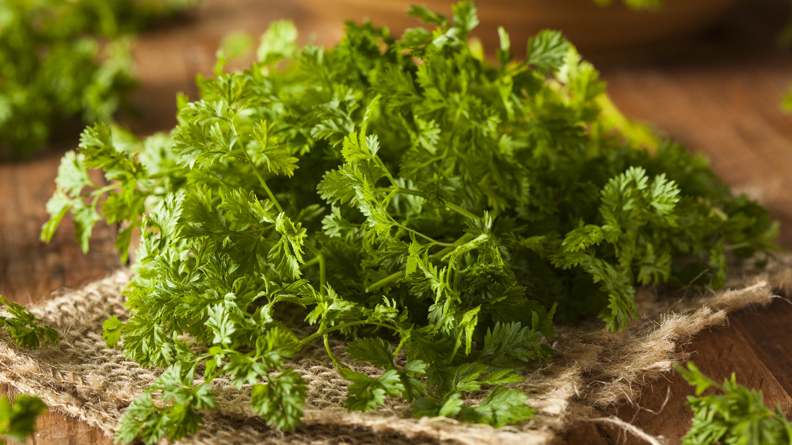 Chervil Is The Parsley Substitute You Should Try