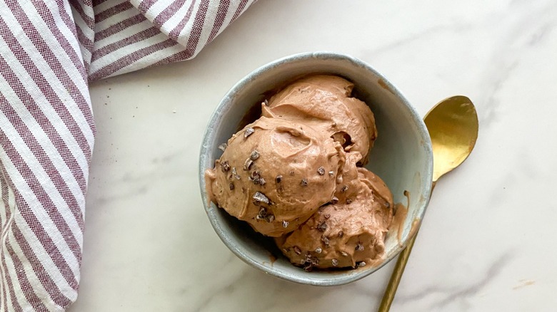 chocolate vegan ice cream in bowl