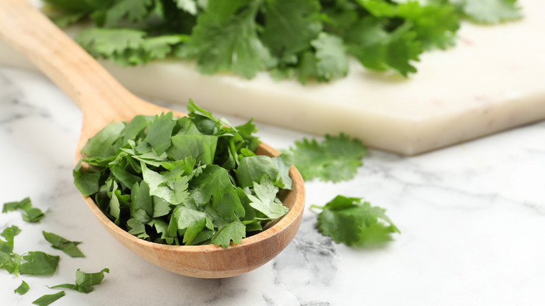 close up of spoon full of chopped cilantro