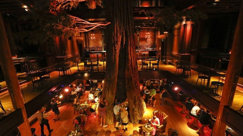 Redwood tree at Clifton's Republic