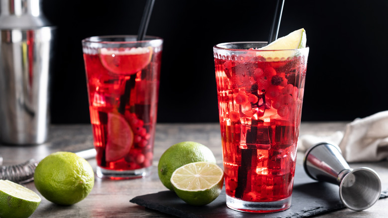 Cranberry vodka cocktails with lime