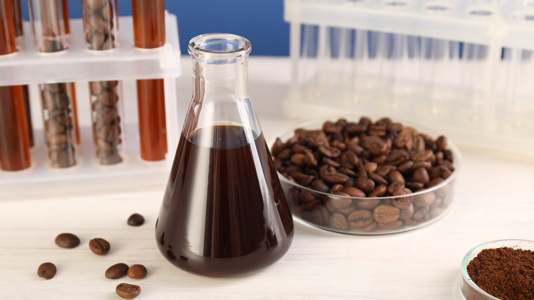 beaker filled with coffee next to petri dish of beans and test tubes of coffee
