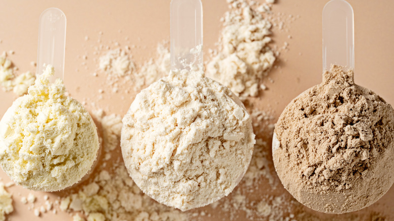 Various kinds of protein powders in plastic scoops