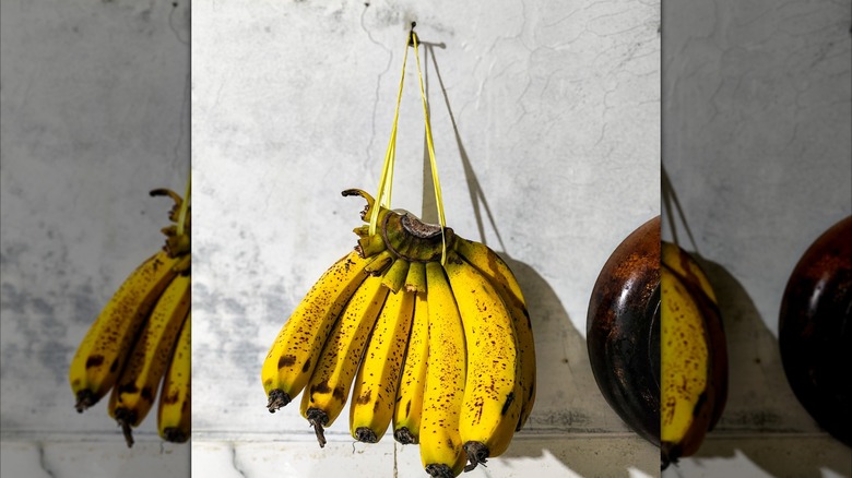 Bananas hanging off of a hook on the wall