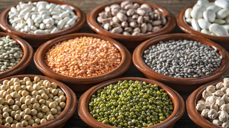 Little bowls of different kinds of beans
