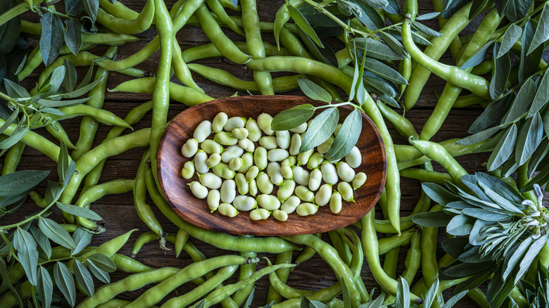 A polished wooden bowl of shelled fava beans sitting on top of a pile of whole bean pods strewn on a table