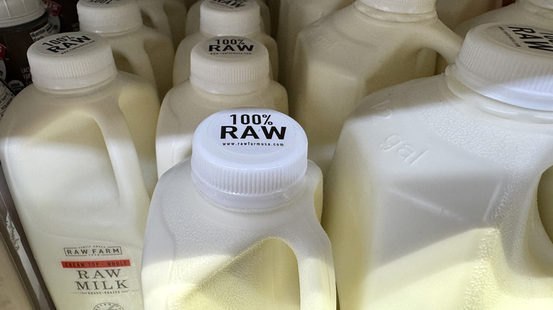 Jugs of raw milk for sale