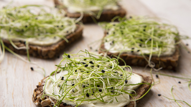 Crackers spread with cream cheese and topped with sprouts.
