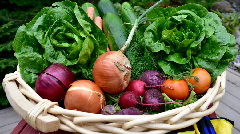Wide collection of produce collected in a large wicker basket
