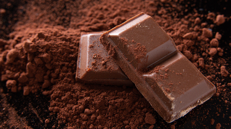 dark chocolate, cocoa powder