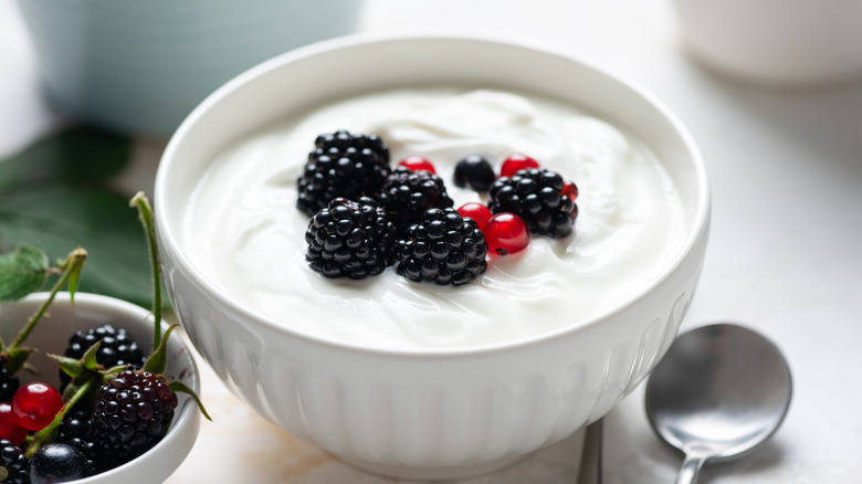 A bowl of creamy yogurt topped with berries