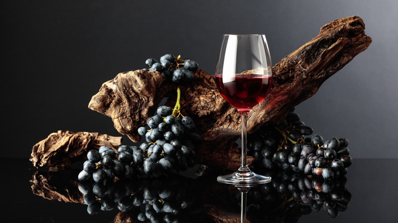 A glass of red wine sits on a reflective black surface, surrounded by several piles of blue grapes arranged around a piece of beach driftwood