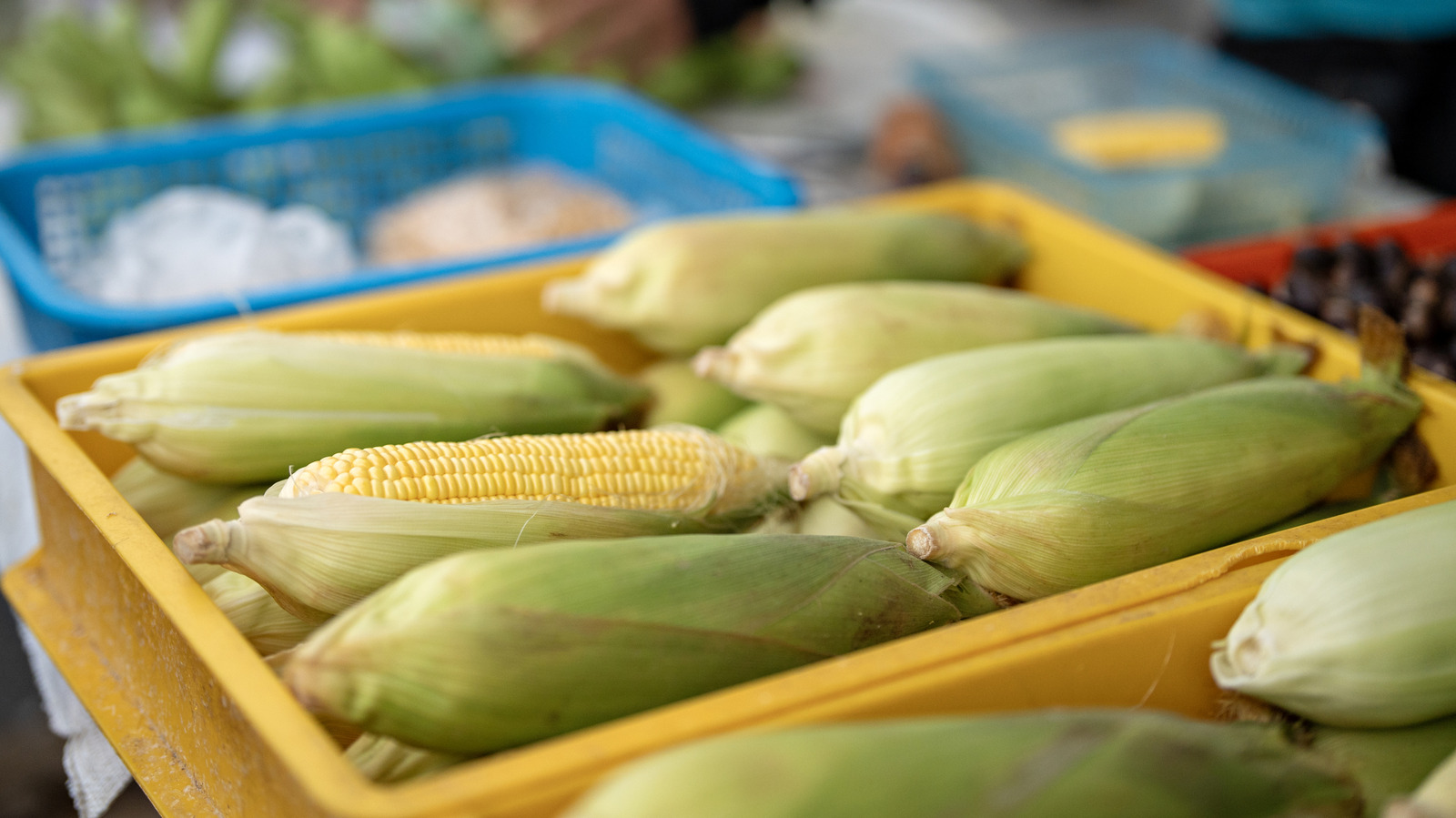 Use This Easy Corn Kernel Trick To Find The Best Ears At The Grocery Store