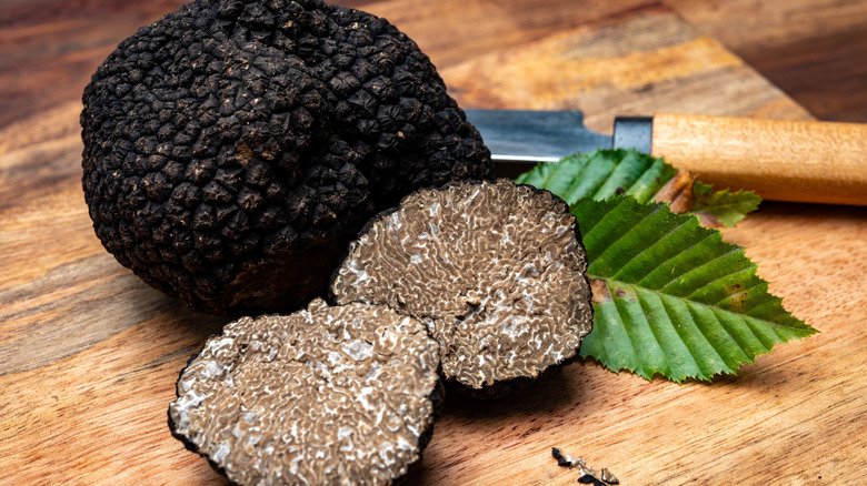 Fresh black summer truffle fungus next to a knife