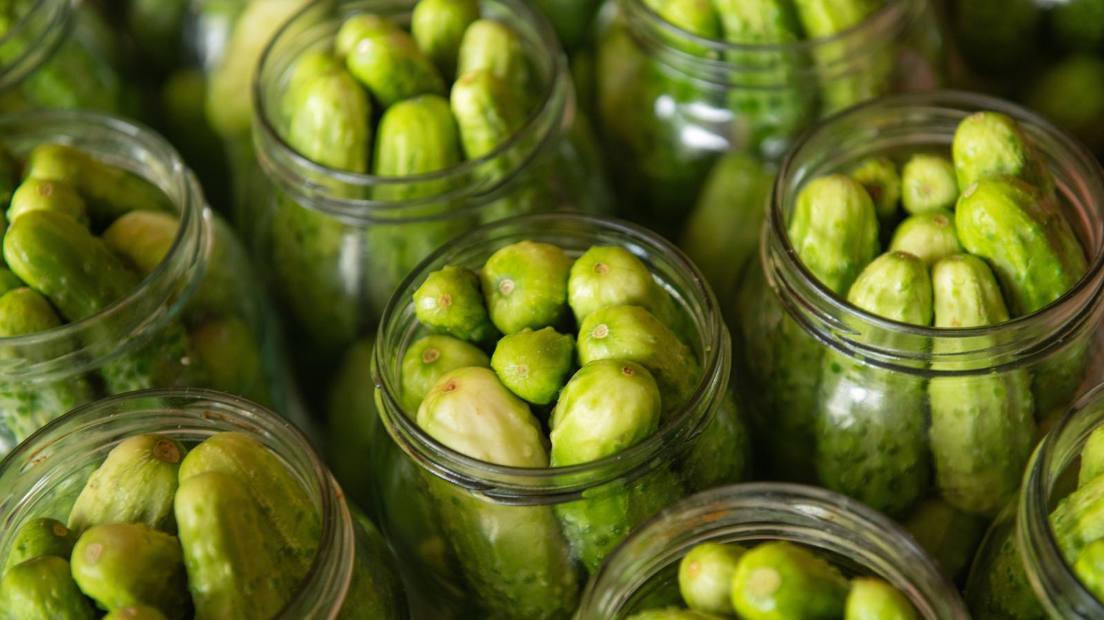 Costco Just Stocked A Fan-Favorite Pickle Brand That's Giving Grillo's Competition