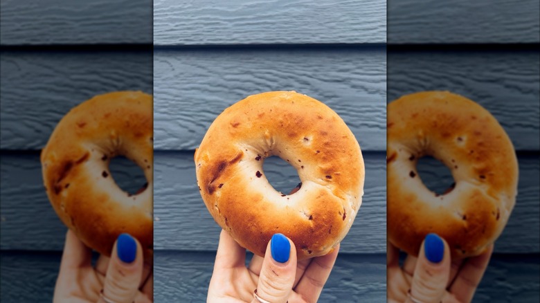 Someone holding a Kirkland Signature Cranberry Orange Bagels