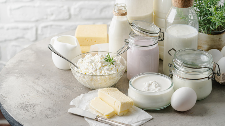 Types of dairy and cheeses