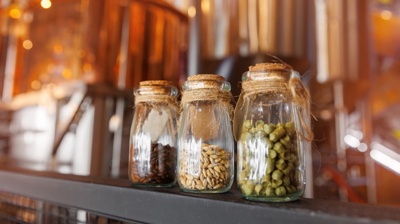 Jars of grains and hops at craft brewery