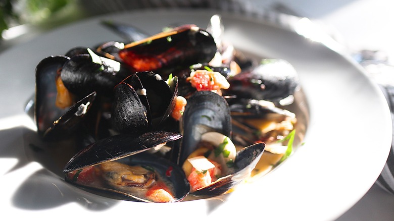 Creamy Garlic Mussels served on a plate