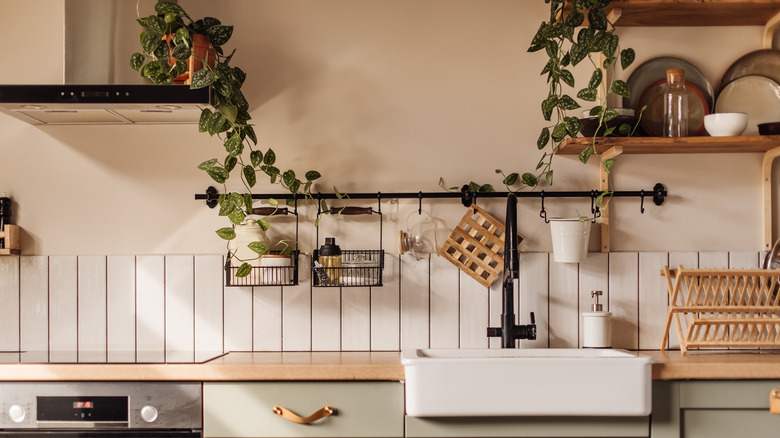 Vintage green cabinets below a wooden countertop with white sink and greenery in an empty kitchen