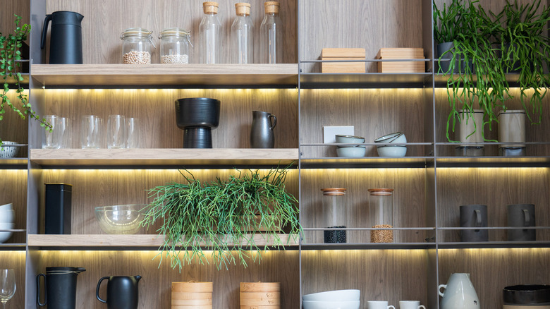 Kitchenware arranged on wooden shelves with greenery and under-shelf lighting