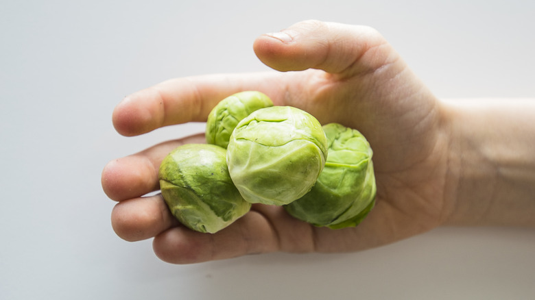 Person holding brussels sprouts
