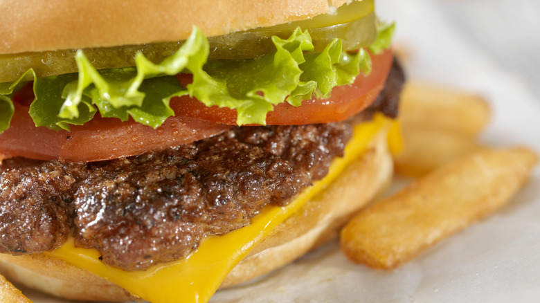A closeup of a burger patty with lettuce, tomato, and cheese, and fries
