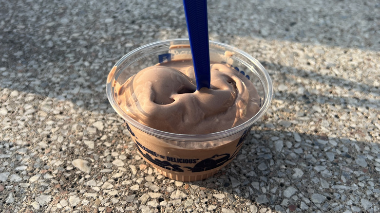 Culver's frozen chocolate custard in plastic cup.