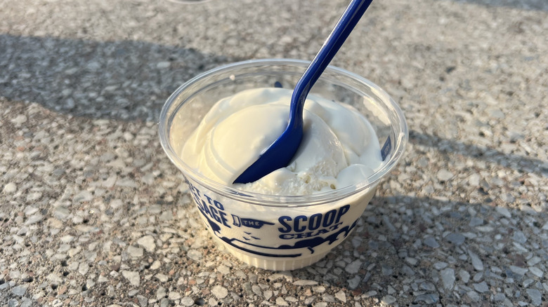 Culver's frozen vanilla custard in plastic cup.