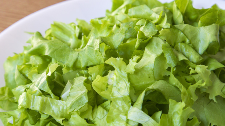 A close-up of shredded lettuce in a bowl