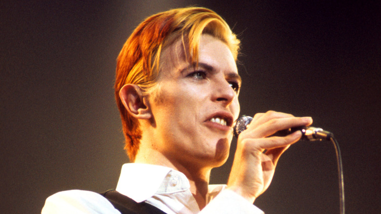 David Bowie's 2-Food Diet In The 1970s Matched 'The Thin White Duke'