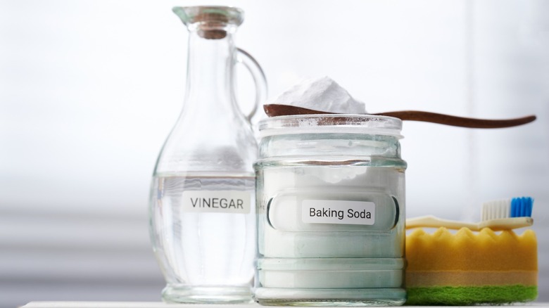 Bottle of vinegar next to a jar of baking soda and a kitchen sponge