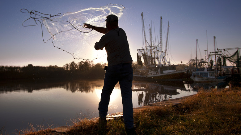 man throws net on shrimp dock in louisiana